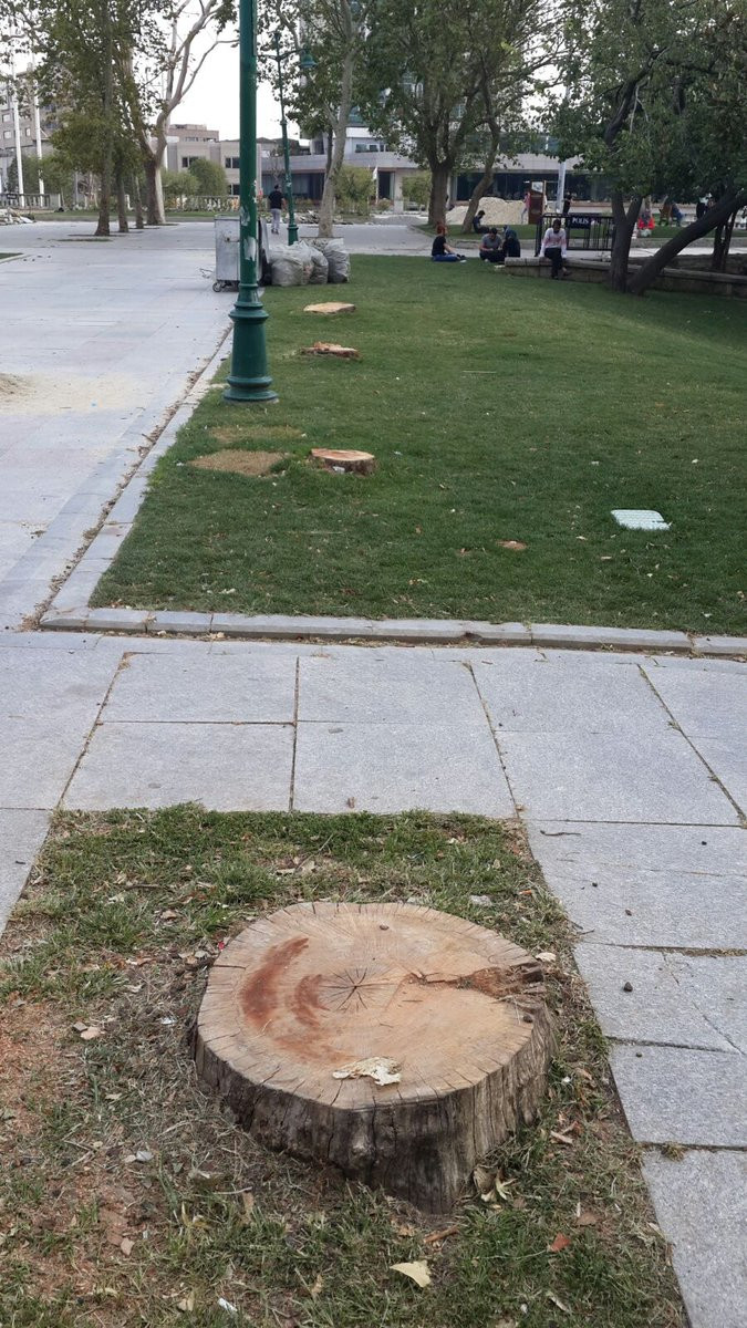 Tuncay Özkan: Gezi Parkı'nda ağaç katliamı yapılıyor! - Resim: 2