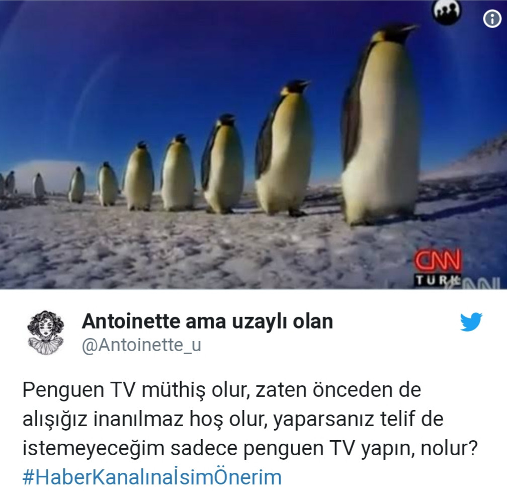 CNN Türk’e yeni isim önerileri: Penguen TV olsun - Resim: 1