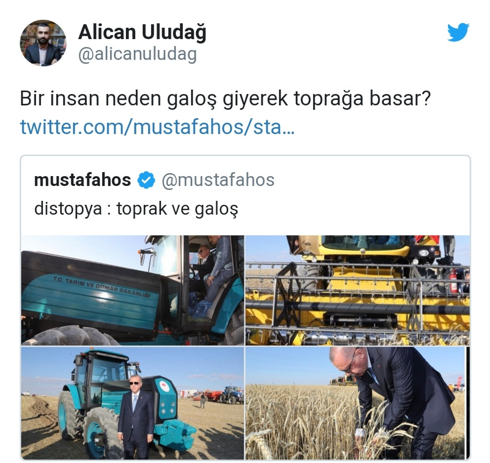 Erdoğan’ın pozu sosyal medyada tartışma yarattı! - Resim: 3