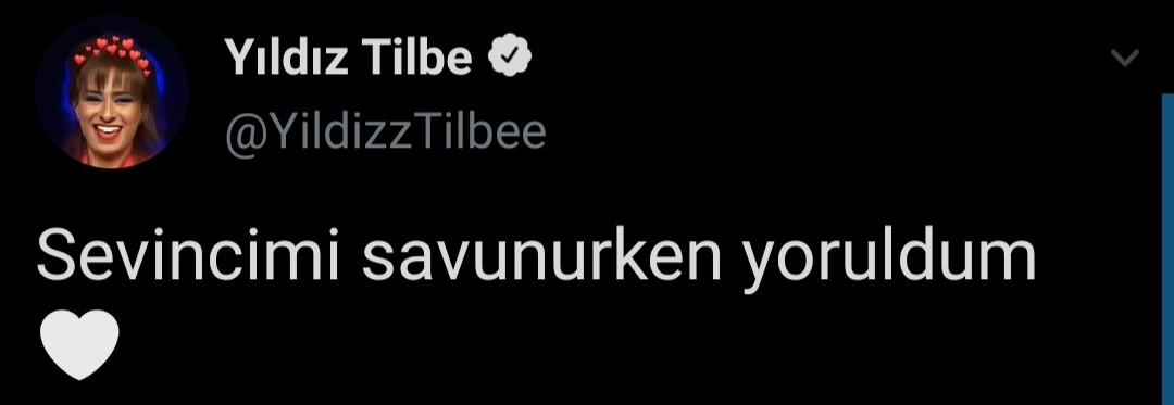 Yıldız Tilbe'den Ayasofya lincine tepki - Resim: 2