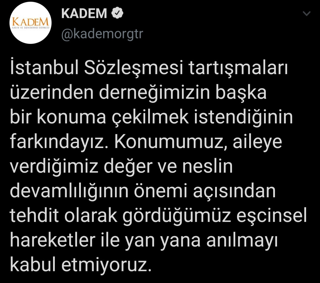 Sümeyye Erdoğan'ın derneği KADEM'den LGBT tepkisi: Neslin devamı için tehdit - Resim: 1