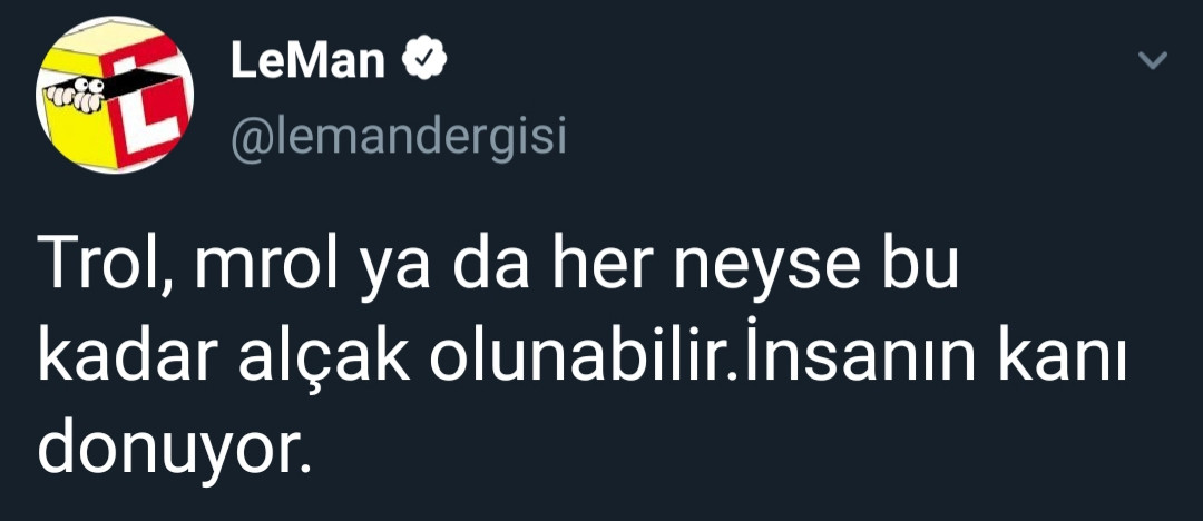 Leman'dan çarpıcı kapak: Bu kadar alçak olunabilir - Resim: 2