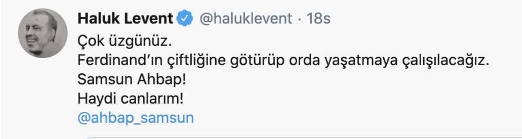 Bacağı kesilen köpekle ilgili STK'lar ve siyasetçiler harekete geçti - Resim: 1