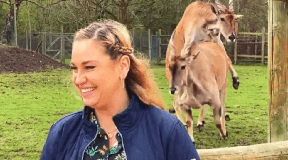 Canlı Yayın Kazası: Sanırım Yanlış Zamanda Geldik, Seks mi Yapıyorlar? - Resim: 1