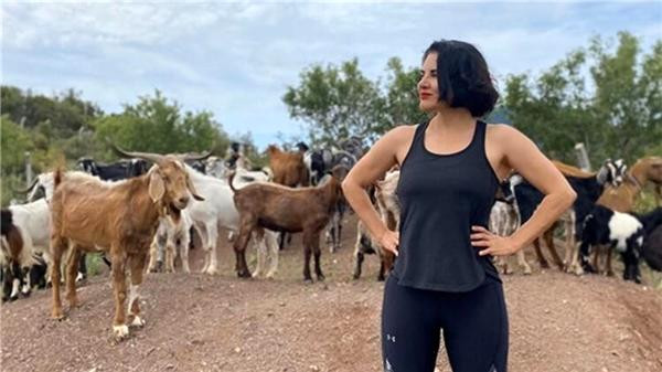 Güzel Şarkıcı Göksel'in Köy Hayatı Bitti! - Resim: 1