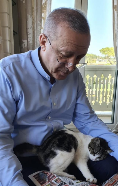 Erdoğan'dan Gülümseten Paylaşım: Pıt Pıt Şeker - Resim: 1