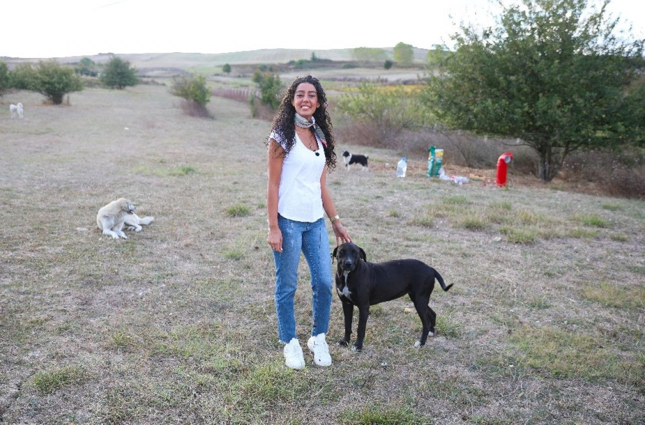 THY Hostesi Sokak Hayvanlarının Yardım Meleği Oldu - Resim: 1