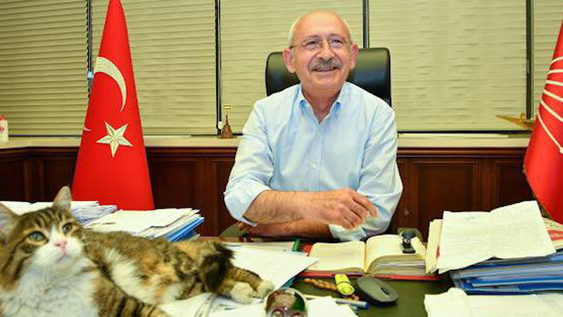 Kılıçdaroğlu'ndan Gülümseten 4 Ekim Hayvanları Koruma Günü Paylaşımı - Resim: 1