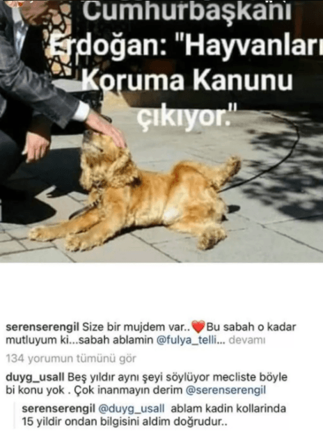 Seren Serengil: Ablam AKP kadın kollarında hayvan hakları yasası çıkıyor - Resim: 1