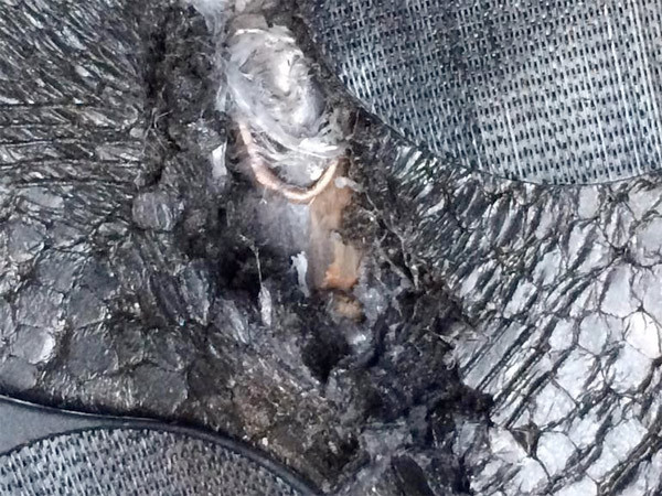 Twitter'da Vasip Şahin'e tatil baskısı - Resim: 4