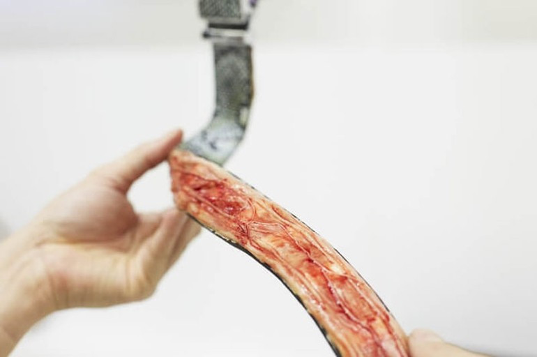 Çantayı açınca dehşete düştüler! - Resim: 5