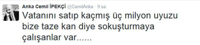 Cemil İpekçi'den olay yaratan sözler: Vatanını satıp kaçmış üç milyon uyuz... - Resim: 1