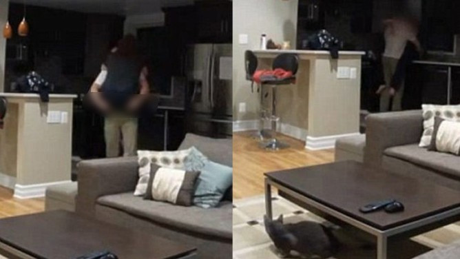 Kedisine baksın diye tuttu, evinde cinsel ilişkiye girerken yakaladı! - Resim: 1