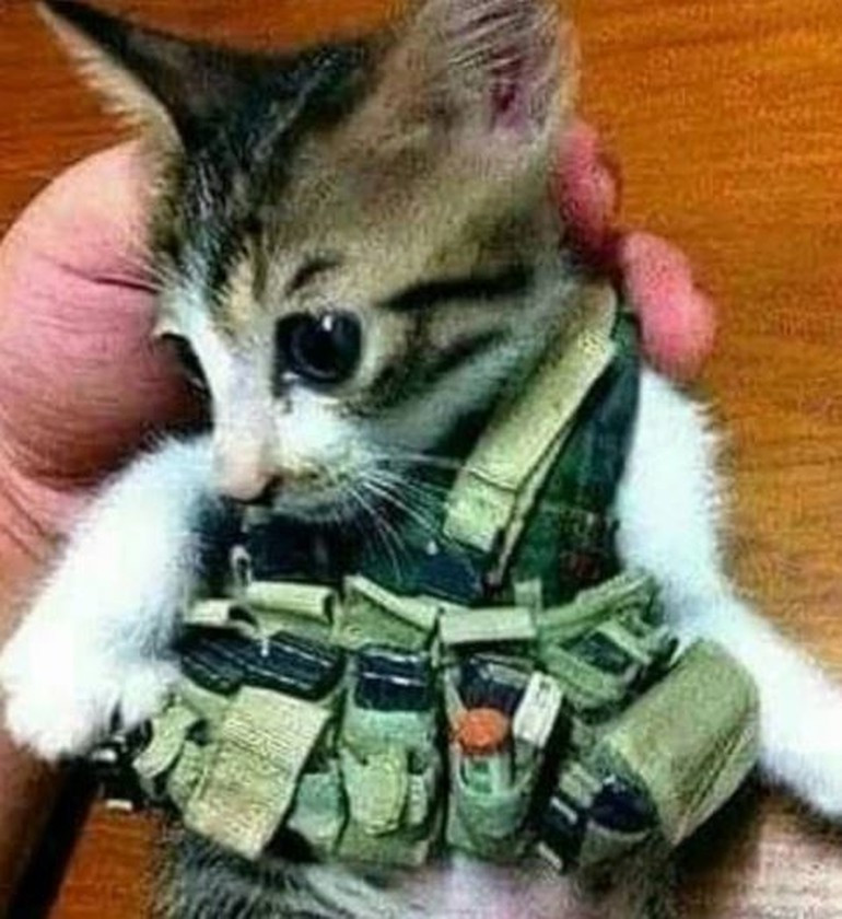 Çıplak modelin IŞİD'e katıldığı iddia edildi - Resim: 2