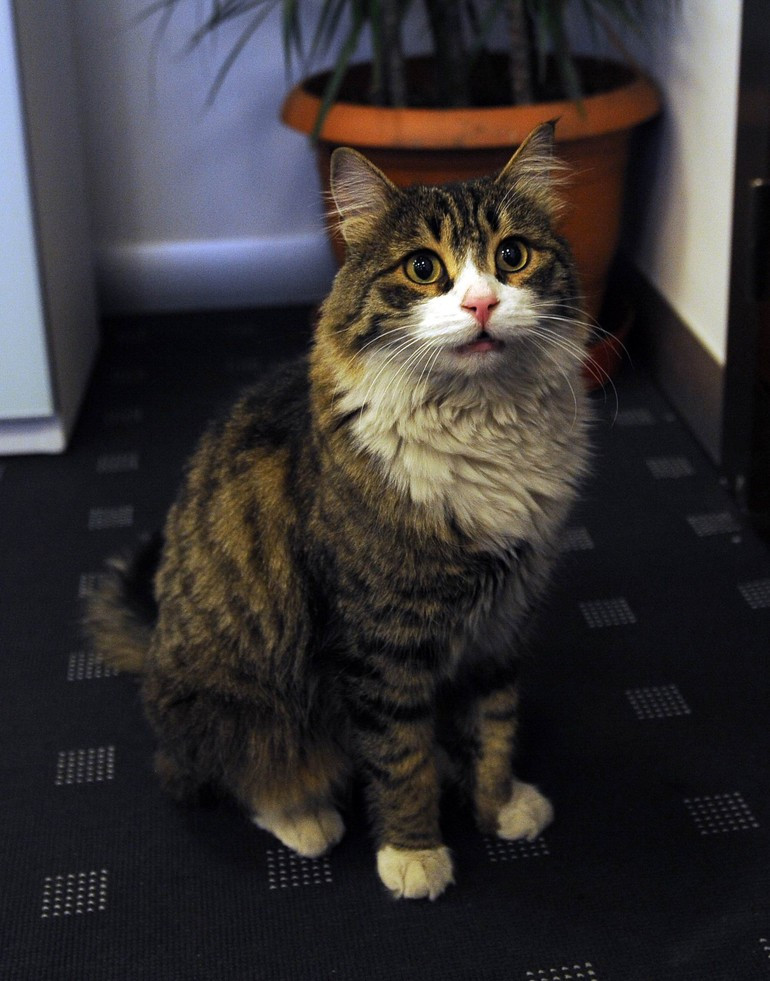 Sigarayı bıraktık ama hepimiz antidepresana başladık - Resim: 1