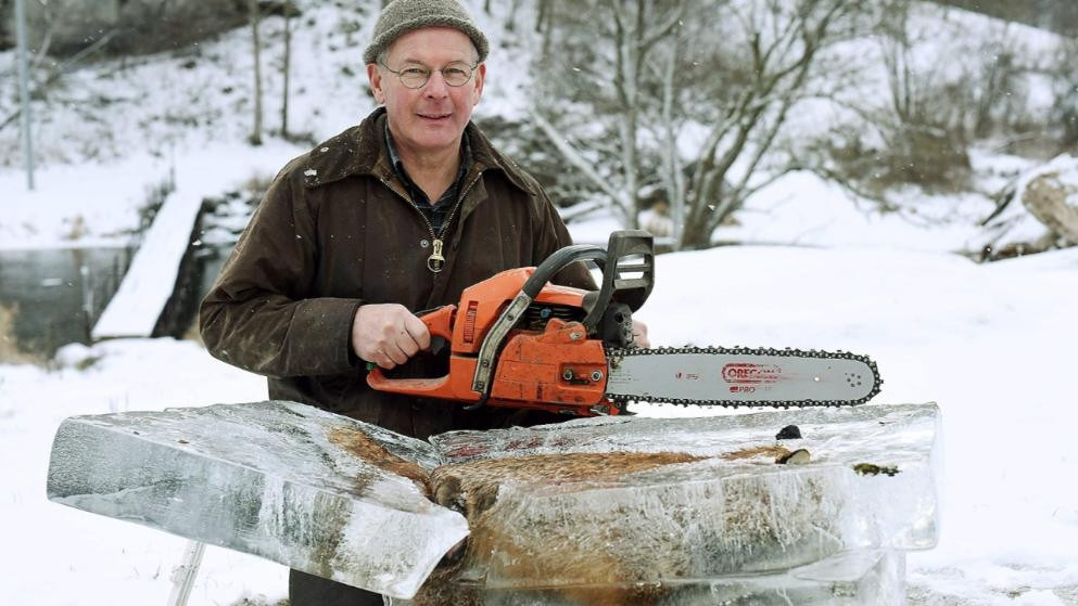 Tuna Nehri'ne düşen tilki dondu - Resim: 1