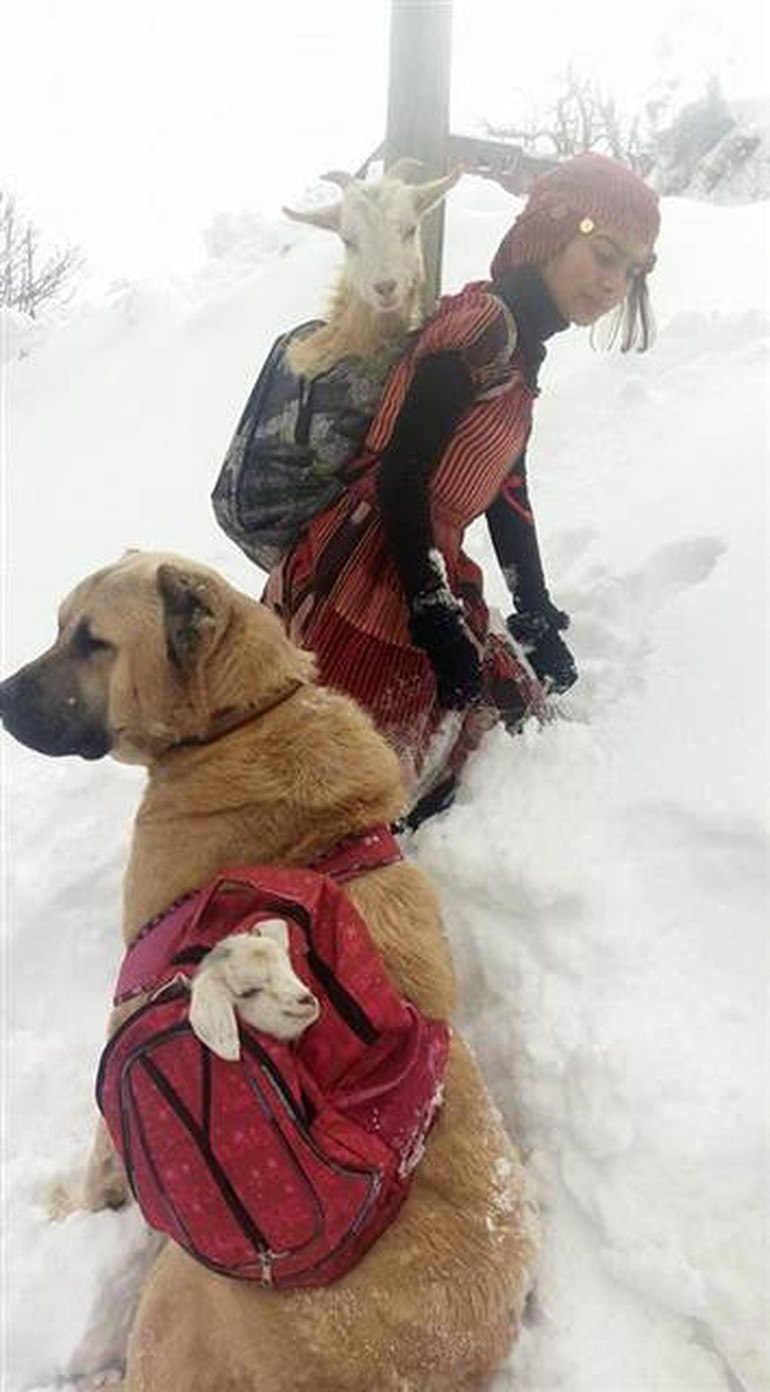 Rize'de çekilen fotoğrafın sırrı ortaya çıktı - Resim: 1