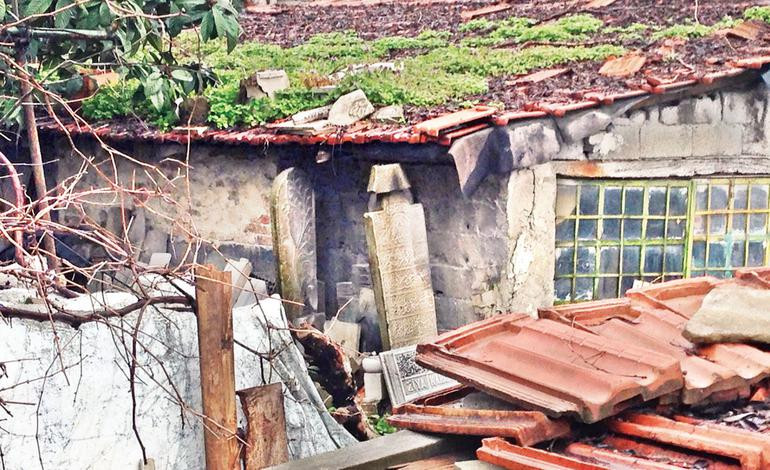 İlber Ortaylı: Bu cehalet ve hödüklükle her şeyin hakkından geliriz - Resim: 2