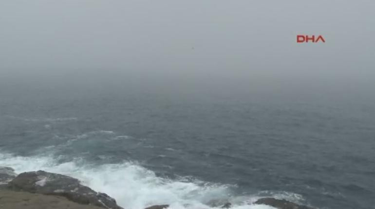 Son dakika haberi! Rus savaş gemisi canlı hayvan gemisiyle çarpıştı.. Kilyos'ta iki gemi de battı - Resim: 2