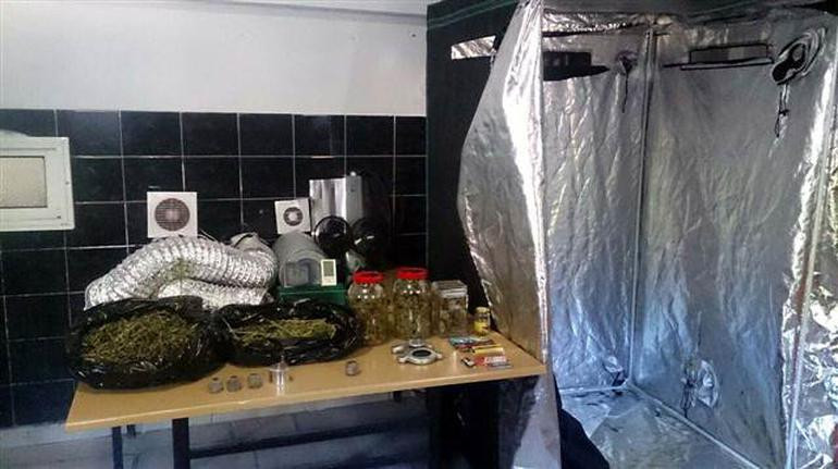 Ünlü oyuncu Selim Erdoğan elbise dolabında kenevir yetiştirmiş - Resim: 1