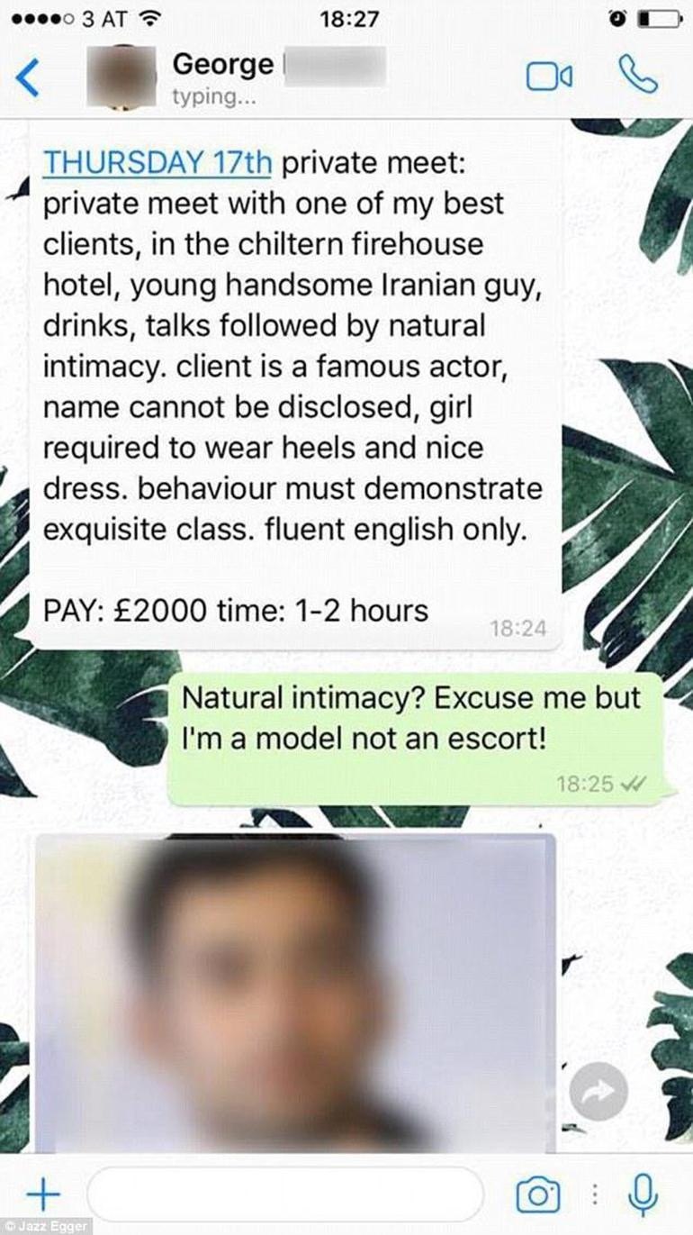 Ünlü oyuncu ile otelde buluş, 2500 Dolar senin.. Mankene ahlaksız teklif - Resim: 1