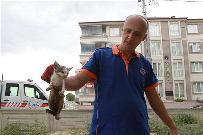 Tuvaletten gelen seslere koştu! Gördüğü şey şoke etti - Resim: 1