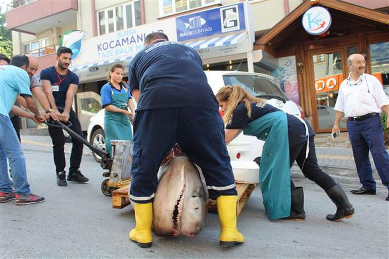 İstanbul'da kanser hastalarına köpek balığı eti dağıtıldı