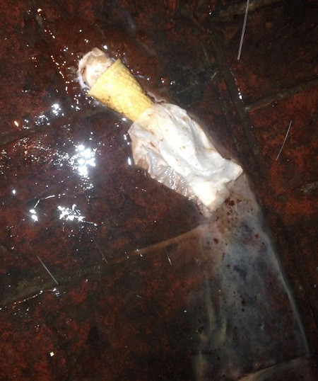 Aleyna Tilki dondurmayı yere attı - Resim: 3