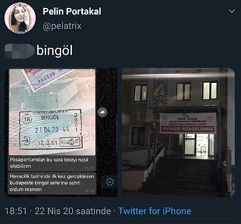 Budapeşte'den Bingöl'e getirilen genç kadından skandal paylaşım - Resim: 1