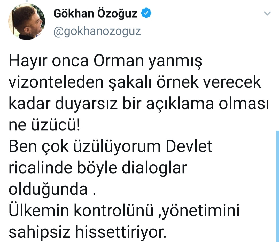 Athena Gökhan'dan Bakan Pakdemirli'ye Vizontele tepkisi! - Resim: 2