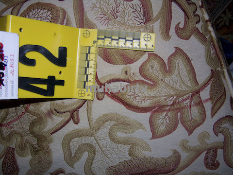 Garipoğlu Ailesinden Münevver Karabulut'un Öldürüldüğü Koltukta Paylaşım - Resim: 3