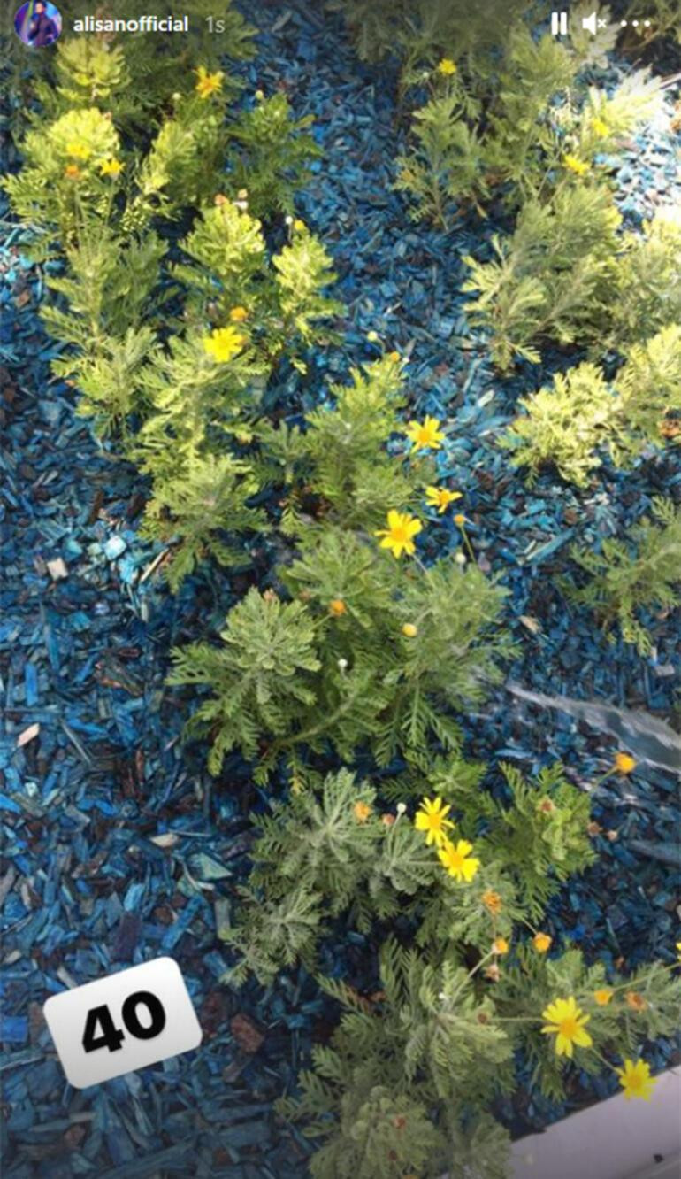 Alişan, Kardeşi Selçuk Tektaş'ı Kabrinde Ziyaret Etti - Resim: 1