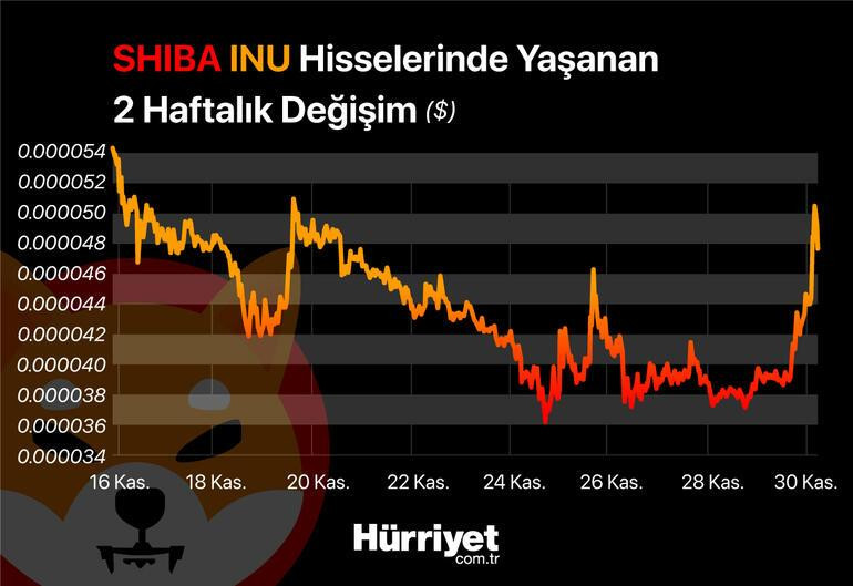 Shiba Inu'da Şaşırtan Yükseliş: Yüzde 20'nin Üzerinde Prim Yaptı - Resim: 1