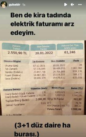 Gülse Birsel Faturasını Paylaştı: Kira Tadında! - Resim: 1