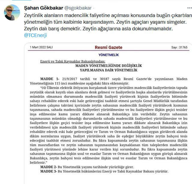Şahan Gökbakar: Zeytin Ağaçlarına Dokunmayın - Resim: 1