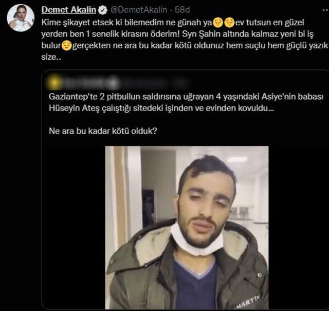 Pitbull Mağduru Ailenin İmdadına Demet Akalın Yetişti - Resim: 1