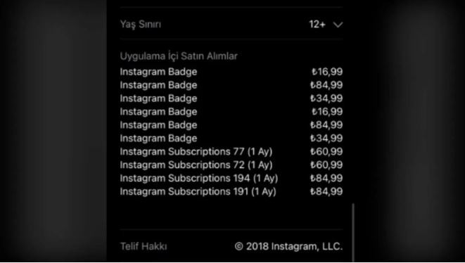 Instagram'ın Ücretli Abonelik Özelliği Türkiye'de Kullanıma Sunuldu - Resim: 1