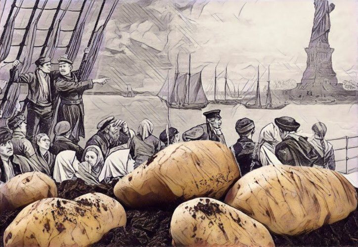 İrlandalı futbol takımından Türkiye'ye Osmanlı göndermeli yardım teşekkürü - Resim: 2