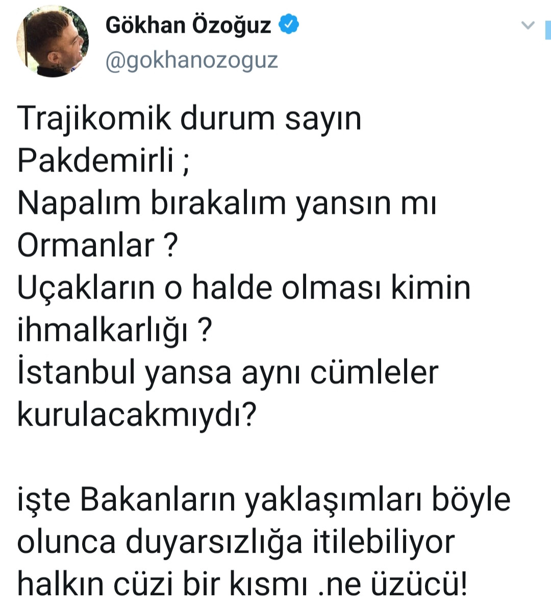 Athena Gökhan'dan Bakan Pakdemirli'ye Vizontele tepkisi! - Resim: 1