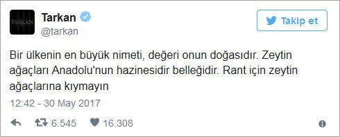 Tarkan'ın zeytinlik tepkisine Sanayi Bakanı'ndan yanıt: Şarkısını söylesin - Resim: 1