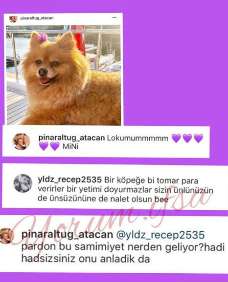 Pınar Altuğ ve takipçisi arasında köpek polemiği: Hadsiz! - Resim: 1