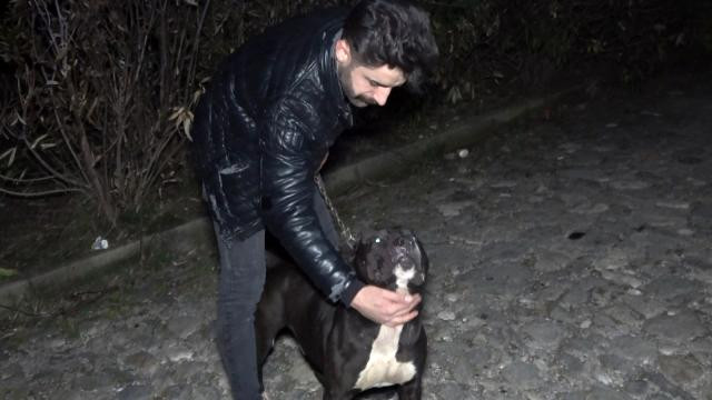 Tecavüzcü Sapığı Köpek Yakaladı, Esnaf Dövdü - Resim: 1