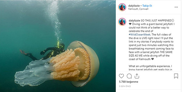 Selen'i gölgede bıraktı - Resim: 2