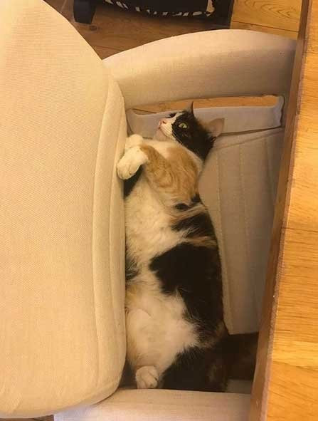 Acun Medya’daki koltuğu kapıldı! - Resim: 1