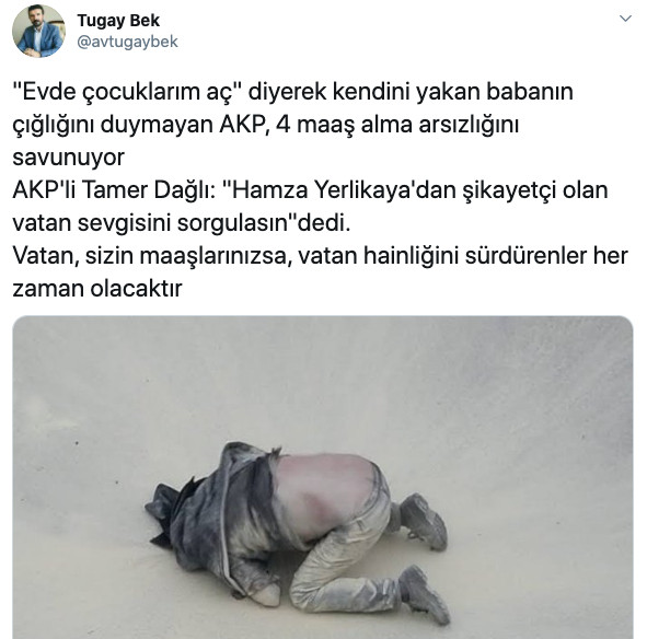 AKP'li Vekil Tamer Dağlı Hamza Yerlikaya atamasını eleştirmeyi vatan hainliğine bağladı - Resim: 1