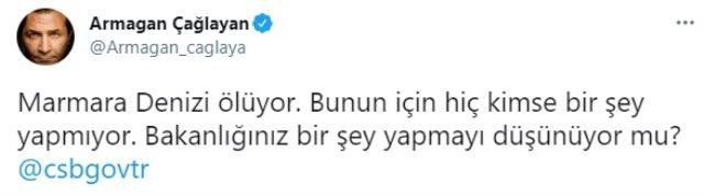 Armağan Çağlayan Bakanlığa İsyan Etti! Marmara Ölüyor - Resim: 1