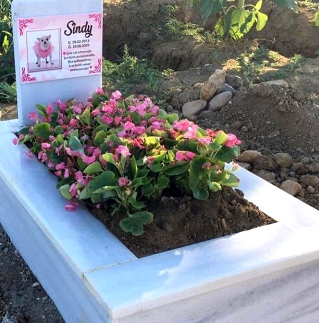 Cicişlerin köpekleri için yaptırdığı mezarlık olay oldu - Resim: 1