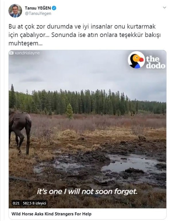 Athena Gökhan'dan çok konuşulacak paylaşım - Resim: 1