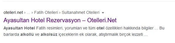 Kızlar bira içiyor diyen Nihat Hatipoğlu otelinde alkollü içki satıyormuş - Resim: 3