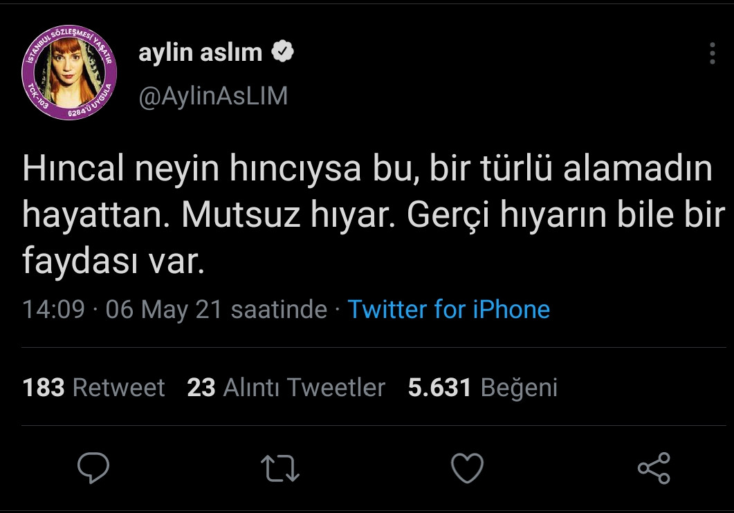 Aylin Aslım'dan Hıncal Uluç'a Sert Tepki: Mutsuz Hıyar - Resim: 2
